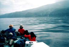 �D����̕��i�Q