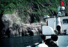 �D����̕��i�R