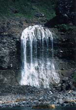 �J���C���b�J�̑�