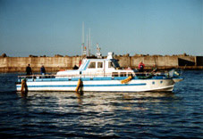 �l�C�`���[�E�H�b�`���O�{�[�g